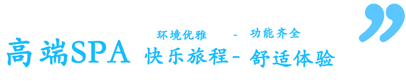 高端SPA